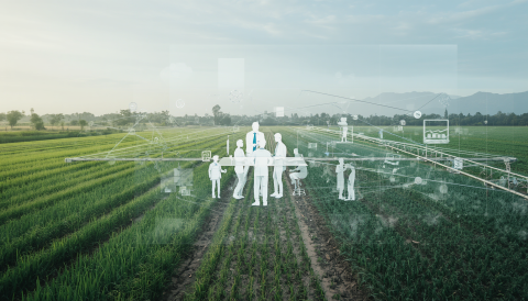 Imagen ilustrativa de la gobernanza en un contexto de Agricultura 5.0