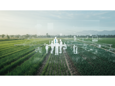 Imagen ilustrativa de la gobernanza en un contexto de Agricultura 5.0