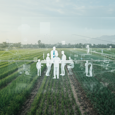 Imagen ilustrativa de la gobernanza en un contexto de Agricultura 5.0