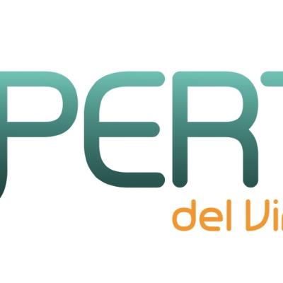 Logo PERTE